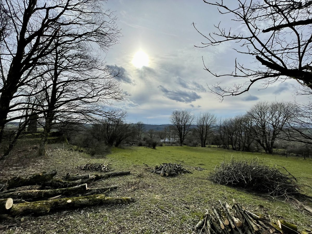 franksteibli's tweet photo. Das (#Wander-) Glück 🍀 liegt im Vogelsberg. Heute 10 km um #Ulrichstein mit ziemlich Gegenwind 💨 (22. März 2023) https://t.co/b9RQSfHGgM