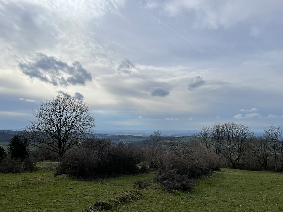 franksteibli's tweet photo. Das (#Wander-) Glück 🍀 liegt im Vogelsberg. Heute 10 km um #Ulrichstein mit ziemlich Gegenwind 💨 (22. März 2023) https://t.co/b9RQSfHGgM