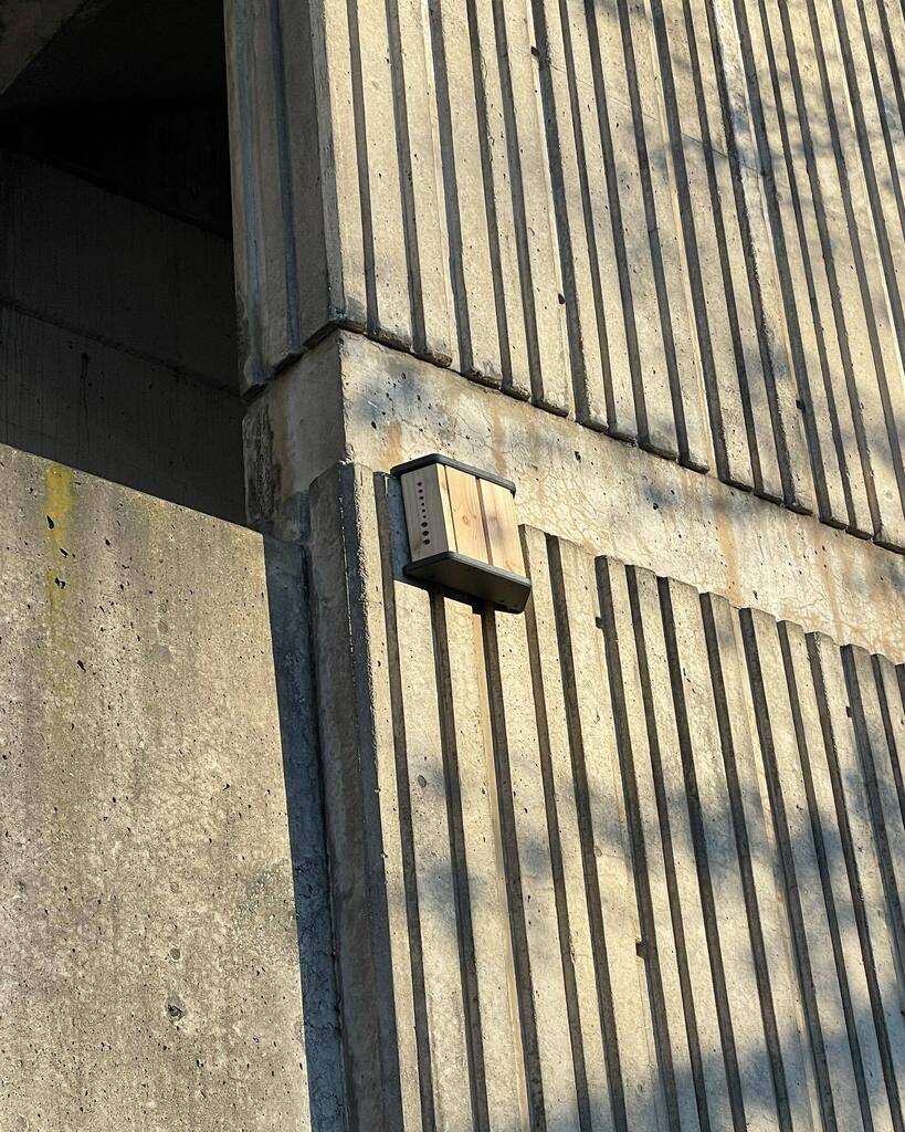 Beemmunity tweet media