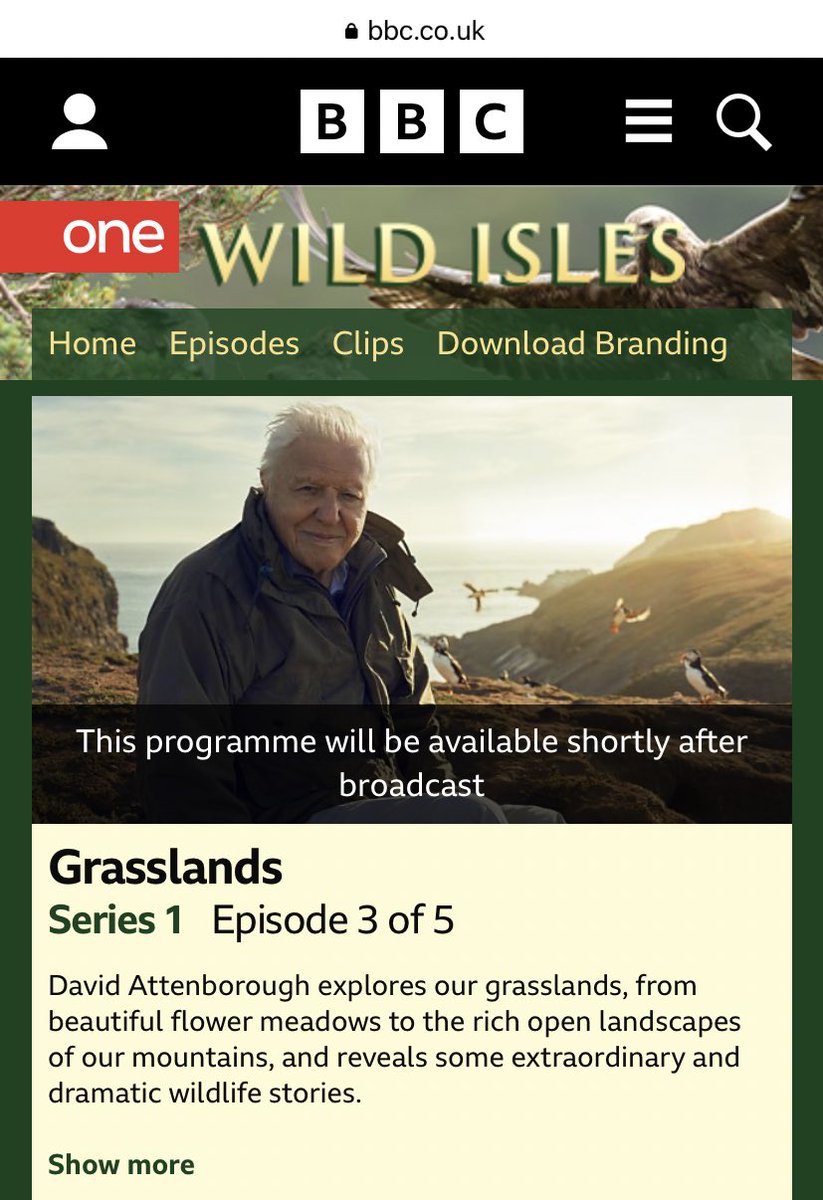 Looking forward to watching the Wild Isles episodes on Grasslands! I wonder if they cover some Irish grasslands 👀Regardless, semi-natural grasslands should get some recognition 😃#GreatIrishGrasslands #davidattenborough #WildIsles @GrasslandsIrl