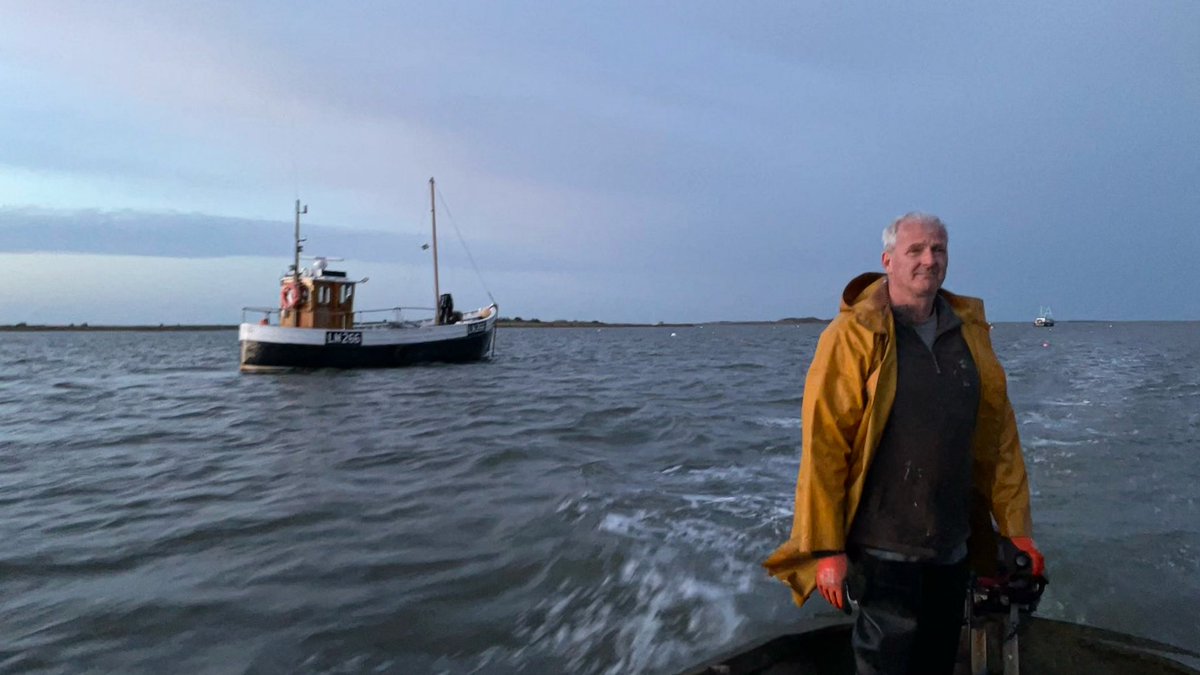 The Mussel Pod tweet media