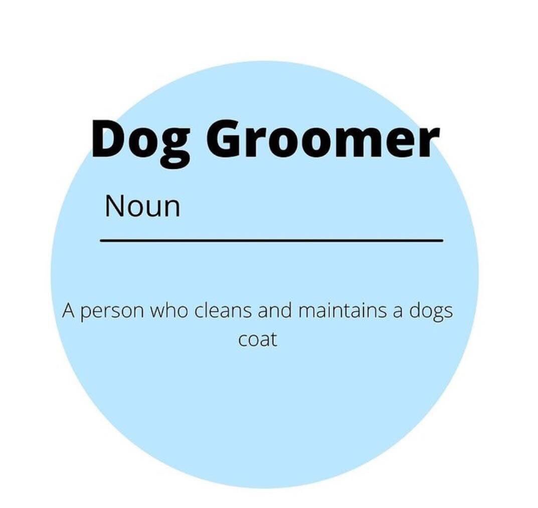 Dashing_Dogs's tweet photo. ~ Dog Groomer ~

“The road to my heart is paved with pawprints”

#dashingdogs #alfreton #alfretontown #dog #dogs #groom #groomer #grooming #doggroomer #doggrooming #noun #definition #onetoone #onetoonedoggroomer #job #bath #dry #brush #comb #clip #handstrip #deshed #style https://t.co/93Wvzo8jBj