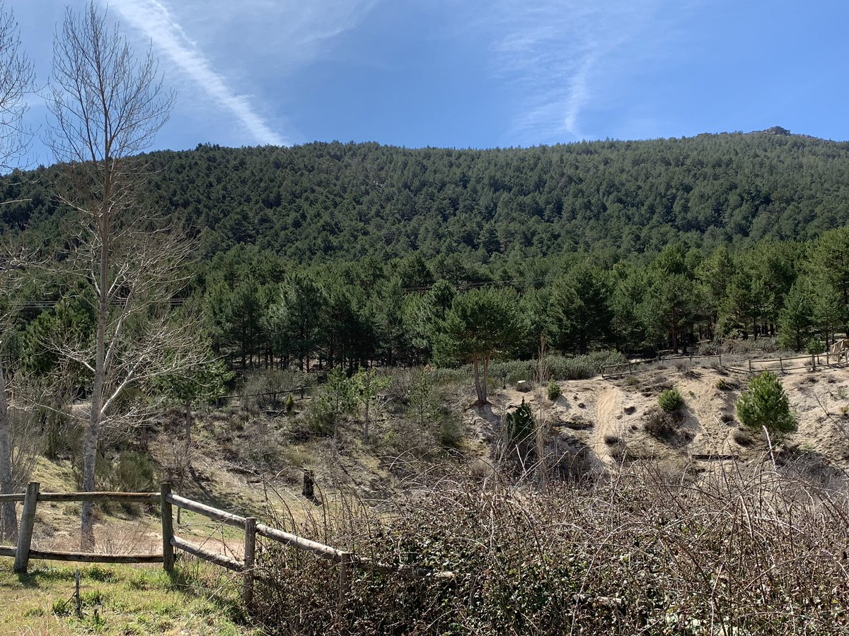 beatrizHBST's tweet photo. ¡Vaya día en el El huerto de Abril! Hemos disfrutado y degustado las plantas que nos ofrece este huerto ecológico tan bien ubicado y hemos conocido su entorno. Actividad motivadora unidad La agricultura y otras hierbas #proyectolengua6 @5Hbst @jlmhbst @SilviaHbst @HbstClaura https://t.co/rbd0CkCOER