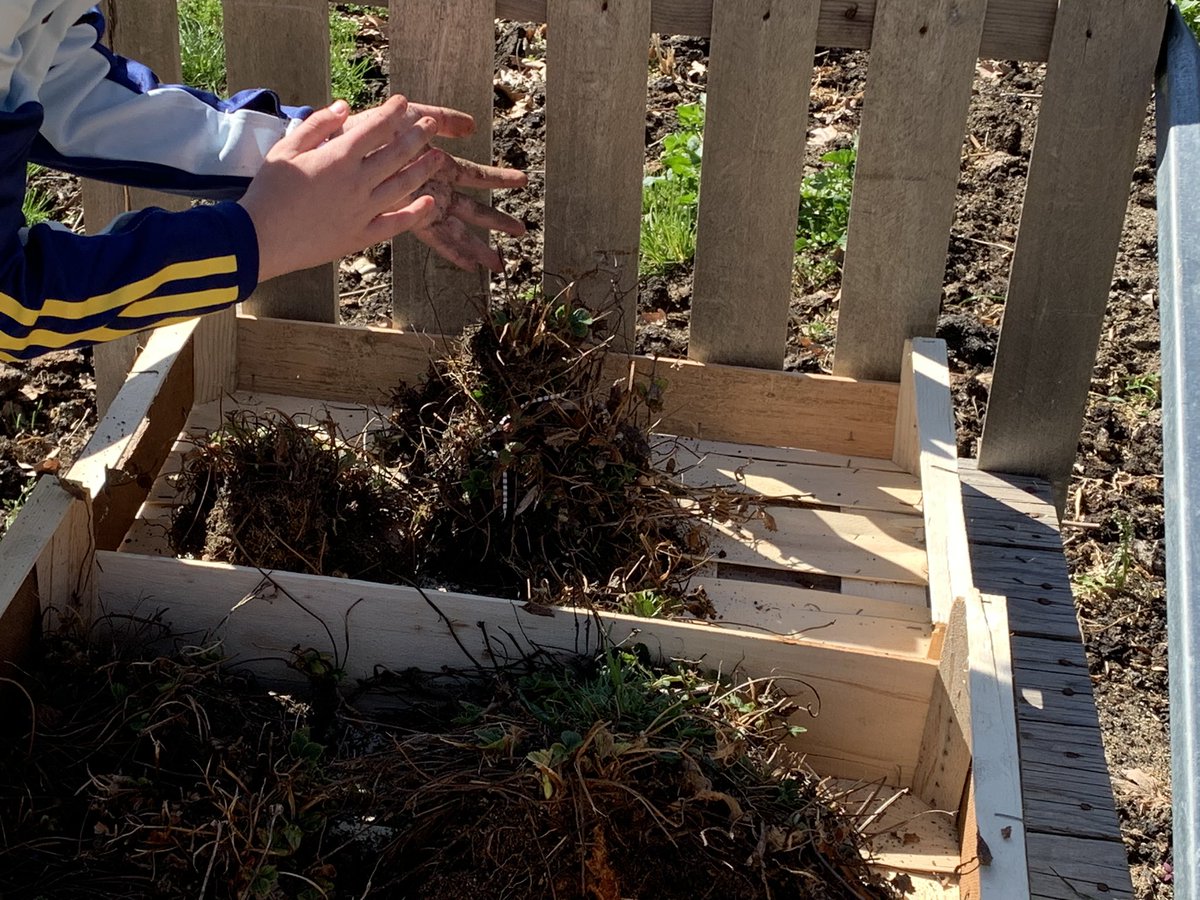 beatrizHBST's tweet photo. ¡Vaya día en el El huerto de Abril! Hemos disfrutado y degustado las plantas que nos ofrece este huerto ecológico tan bien ubicado y hemos conocido su entorno. Actividad motivadora unidad La agricultura y otras hierbas #proyectolengua6 @5Hbst @jlmhbst @SilviaHbst @HbstClaura https://t.co/rbd0CkCOER