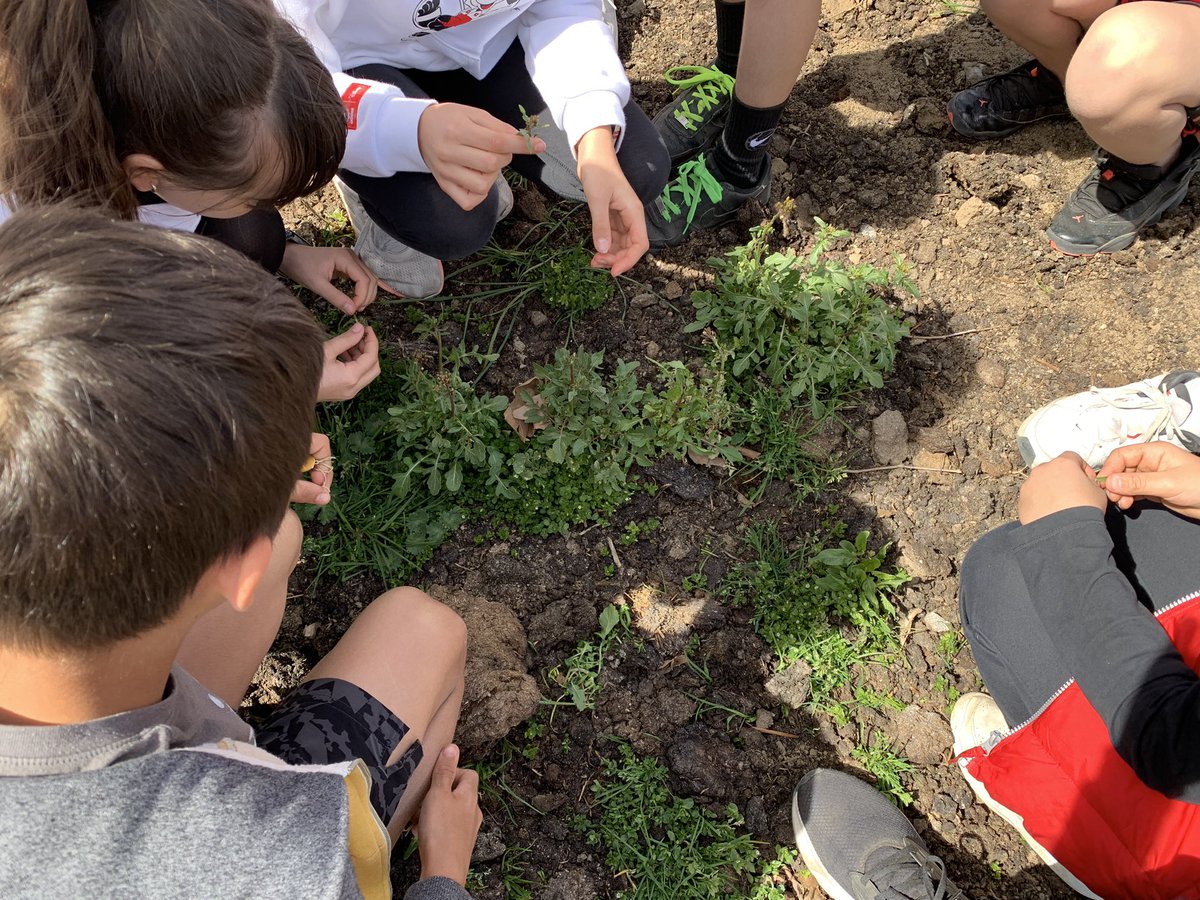 ¡Vaya día en el El huerto de Abril! Hemos disfrutado y degustado las plantas que nos ofrece este huerto ecológico tan bien ubicado y hemos conocido su entorno. Actividad motivadora unidad La agricultura y otras hierbas #proyectolengua6 @5Hbst <a href="/jlmhbst/">Jesús</a> <a href="/SilviaHbst/">SilviaHBST</a> <a href="/HbstClaura/">ClauraHBST</a>
