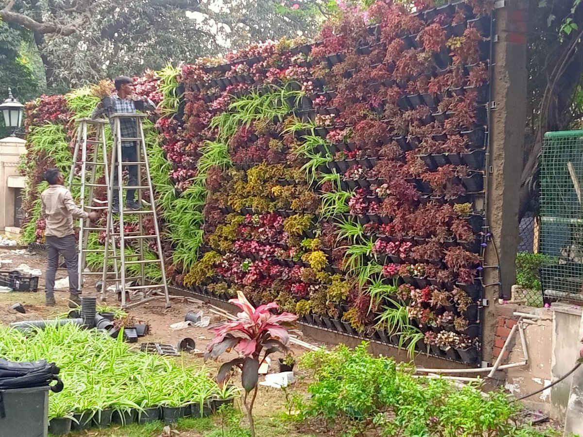 ncr_landscaper's tweet photo. #Verticalgarden 
#greenwall #biowall #landscape #landscaper #naturelovers https://t.co/tFI9179Tgx