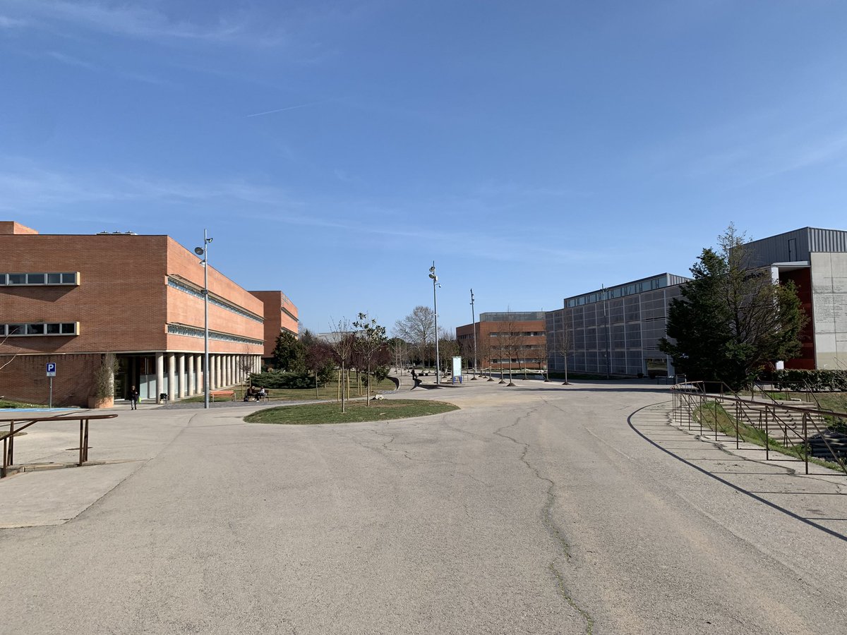 Jane Flood tweet media