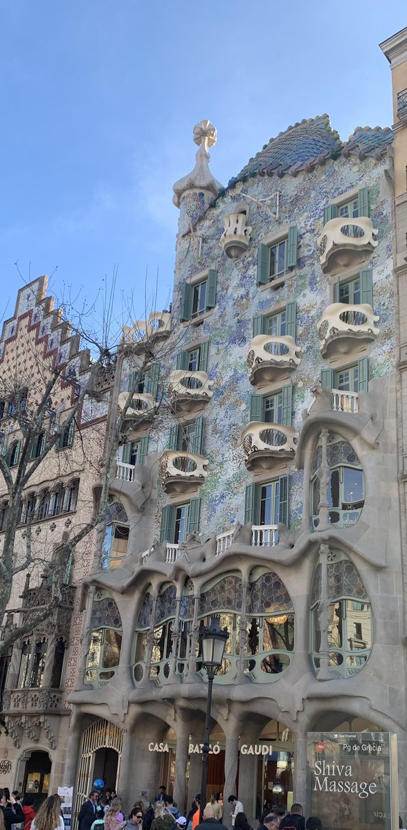 Jane Flood tweet media