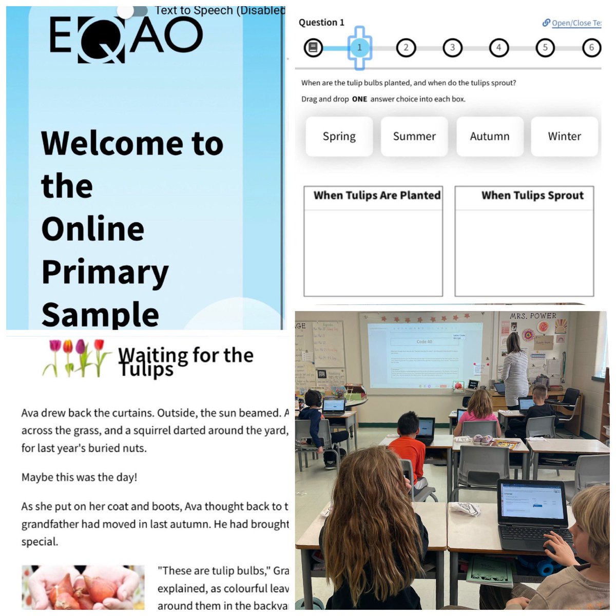 mrs_power3's tweet photo. #ISIGrateful to @MrsDorsey_ocsb for helping us explore the EQAO primary assessment today. We completed an online sample test, became familiar with the tools to help us be successful, and even went over our results question by question.  #EQAOprep #digitalassessment #ocsbTech https://t.co/XUAl49Pv6S