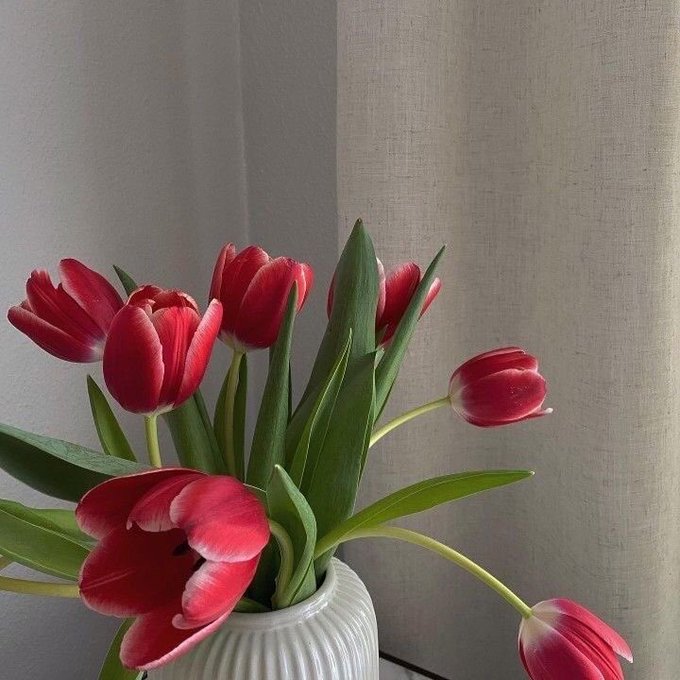 JyliLap's tweet photo. pretty. https://t.co/D2KJFscwCl