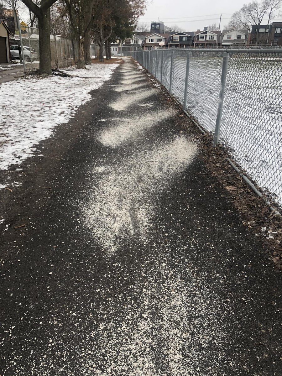 LanrickBennett's tweet photo. Happy #WorldWaterDay
If you ventured out during our #WinterCity, you likely saw no reduction of salt being used on our streets or sidewalks. #TorontoDanforth has again come up short to become #LessSalty
Maybe next year @tdndp @peter_tabuns?
Cc: @ChelseaRochman @LOWaterkeeper https://t.co/OQjOkjpd1K