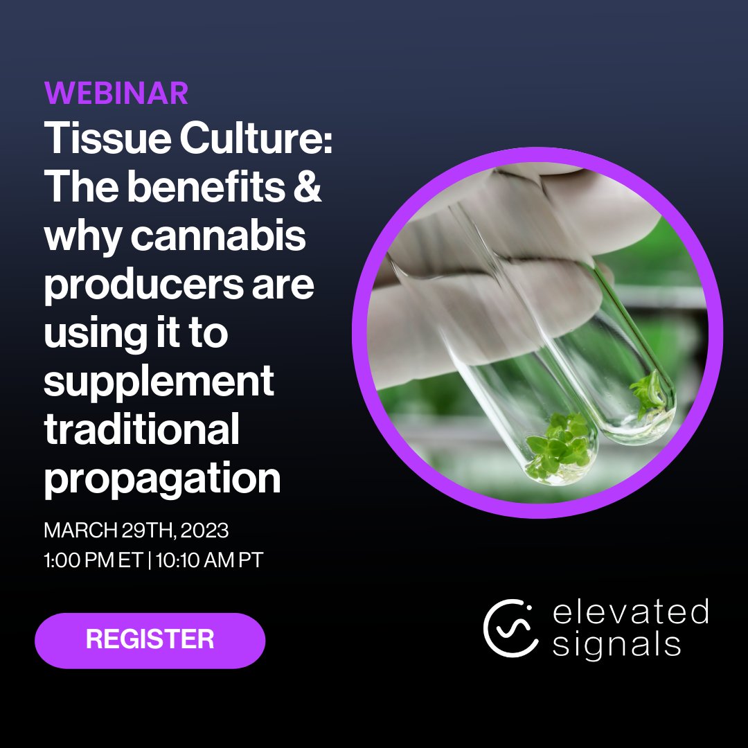 ElevatedSignals's tweet photo. ⌛️ Last chance to register for our tissue culture webinar happening next week!!

Register: https://t.co/7gThsF4wus

If you're looking for more consistency in your grow, an efficient way to store genetics, or de-risking your operations, you won't want to miss it. 🌱 https://t.co/nUmjZeF8cL