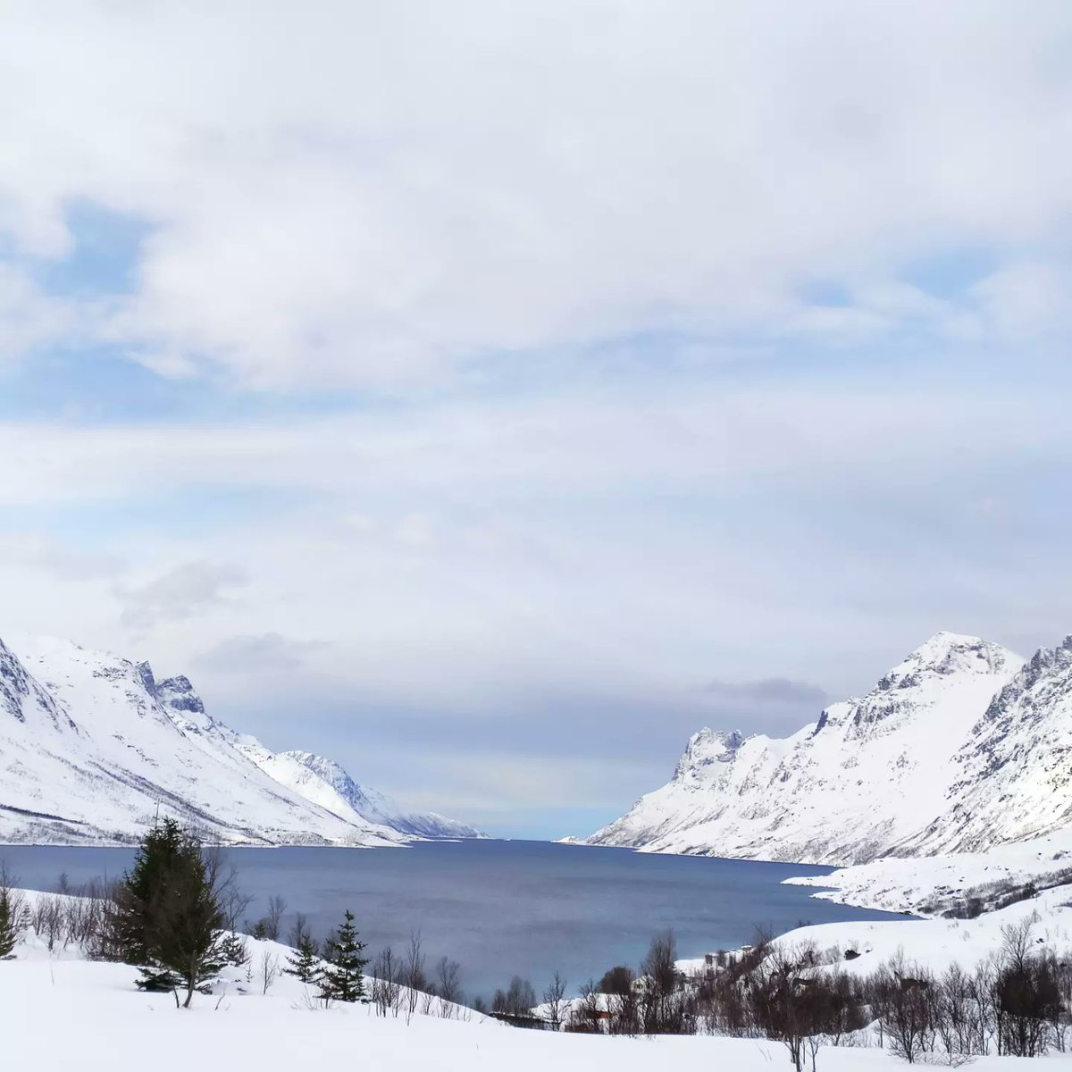 Saudade de uma experiência mágica como essa.
