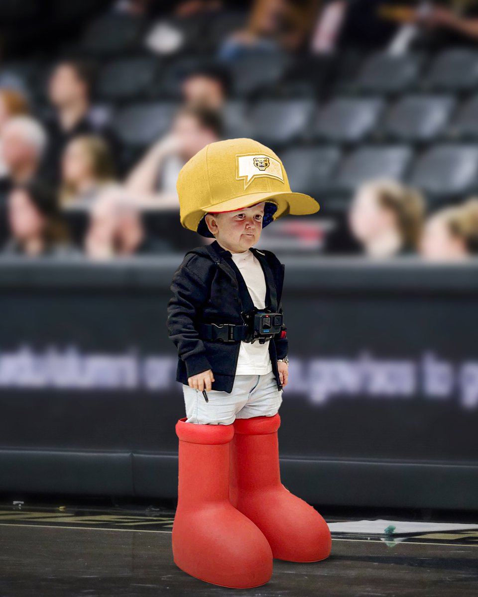 Golden Grizzlies tweet media