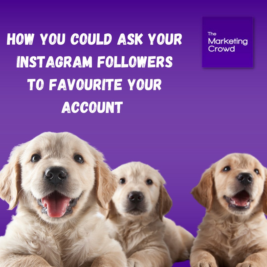 Have you considered encouraging your Instagram followers to favourite your account?  If they did, they would see a lot more if not all of your posts and Reels. I have written some text that you use ...

themarketingcrowd.ie/how-you-could-…