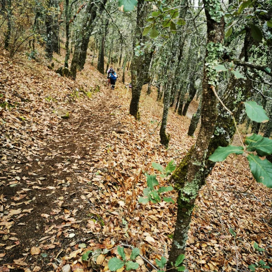 Marzo 22 😌

Nutre tu ser en el silencio. Empodérate. Aquieta pensamientos… Disminuye la velocidad… Una cosa a la vez…
RESPIRA lento y profundo. Piensa menos, pero piensa mejor. 😌

      Brahma 💫Kumaris