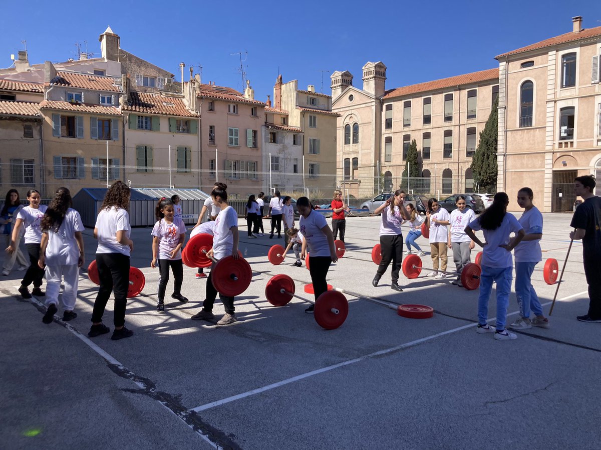 Collège NC Fabri de Peiresc tweet media