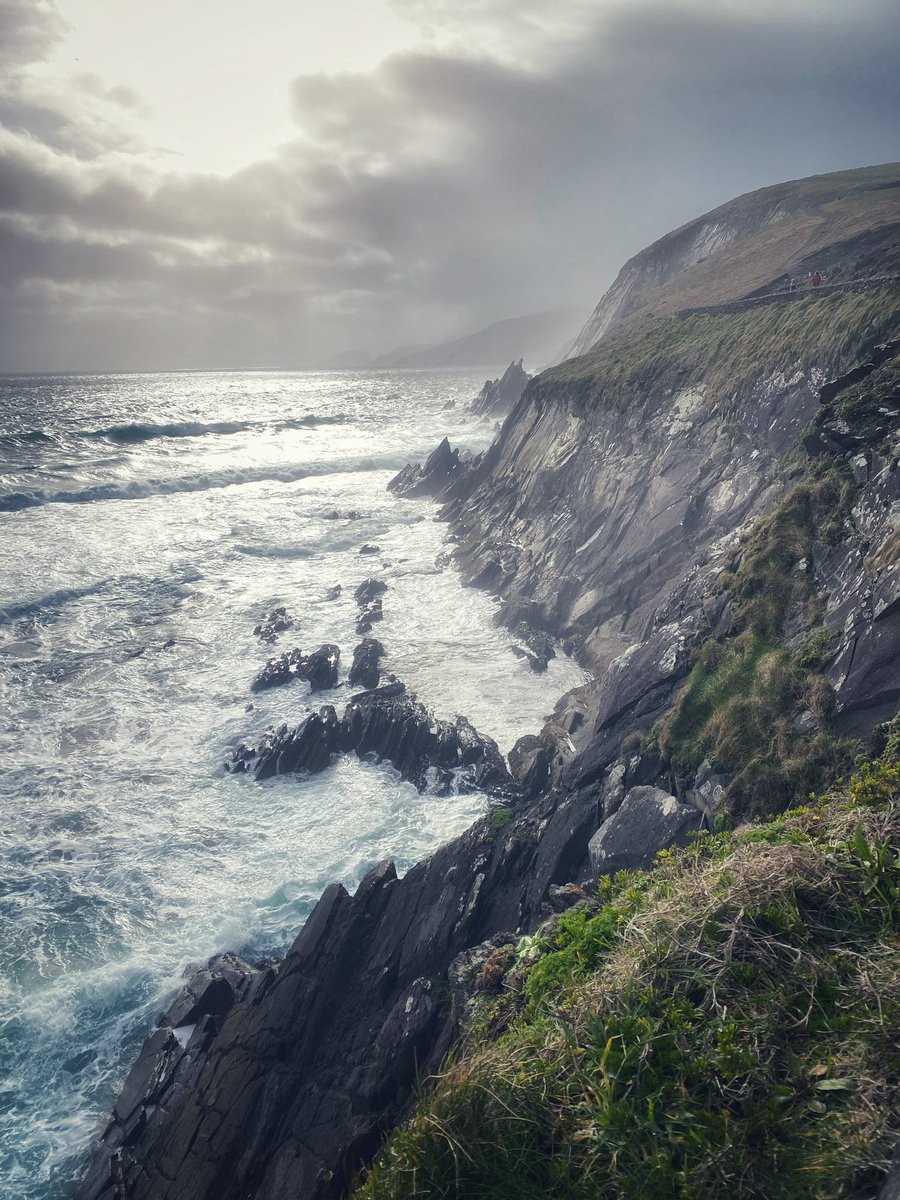 Dead Kittie - Megan Majewski tweet media