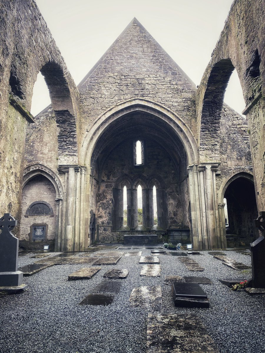 Dead Kittie - Megan Majewski tweet media