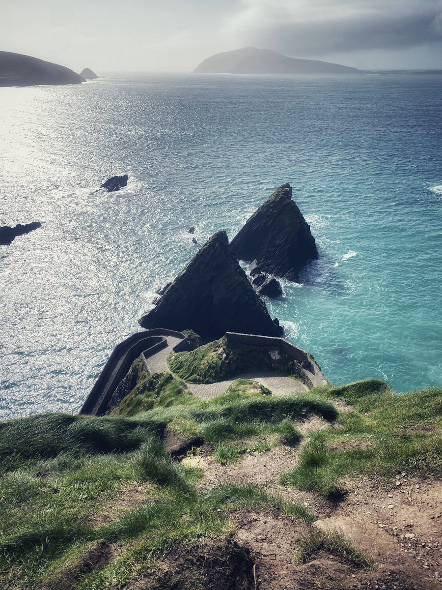 Dead Kittie - Megan Majewski tweet media