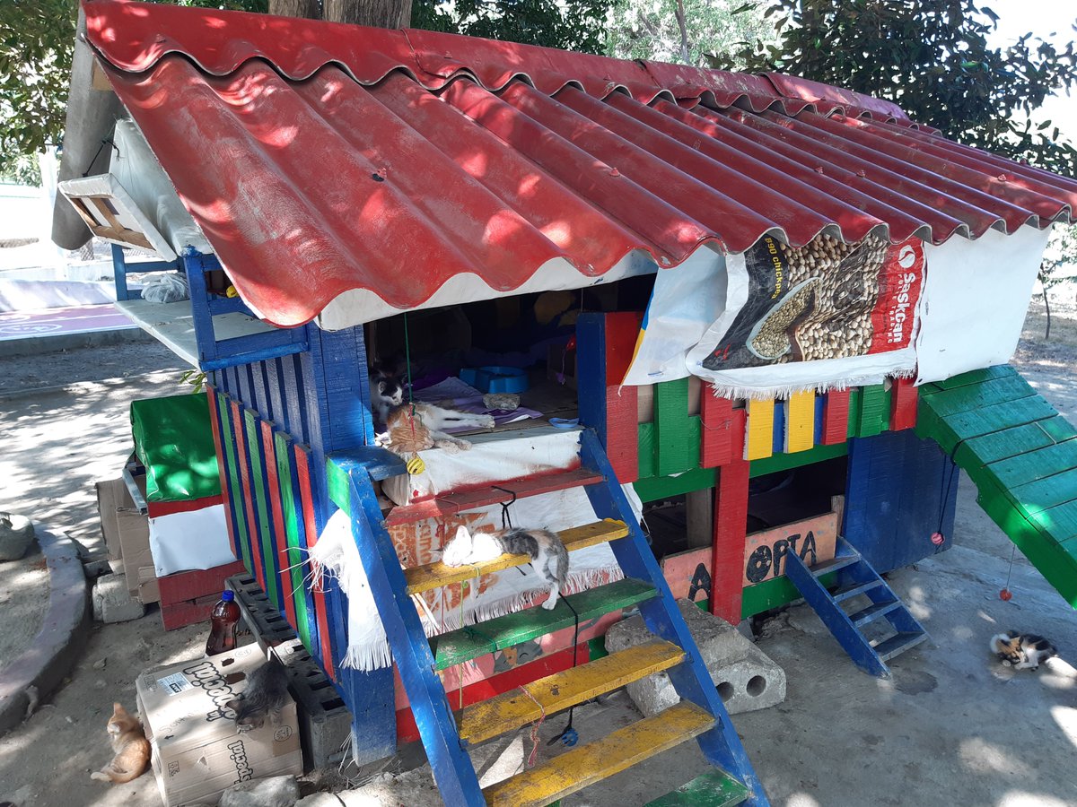 juniorFilmsx3m's tweet photo. @MirandaBogota @FiscaliaCol @VirnaJohnson Así era el refugio de gatos que psicópatas prendieron fuego, deben encontrar el o los culpables de este macabro suceso en #SantaMarta https://t.co/mYMfUqjaz8