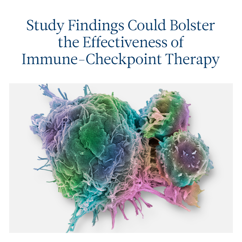 MontefioreNYC's tweet photo. In a recent paper published in The Journal of Clinical Investigation (JCI), scientists at Montefiore Einstein Cancer Center (MECC) describe findings that could bolster the effectiveness of #immunecheckpoint therapy. #cancer #MontefioreEinsteinCancerCenter