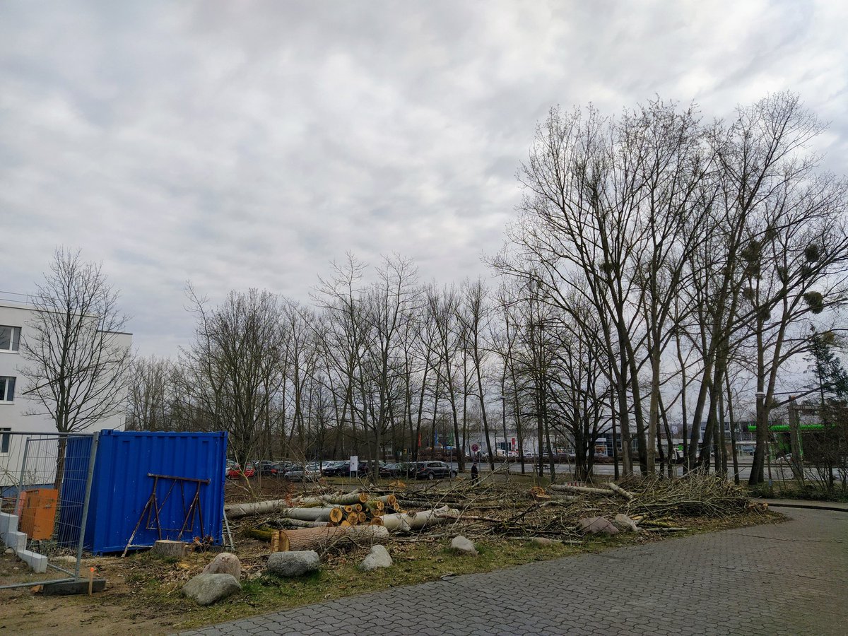 mourix's tweet photo. #Kahlschlag am #StALU in #Neubrandenburg! https://t.co/DaxXxEPSyW
