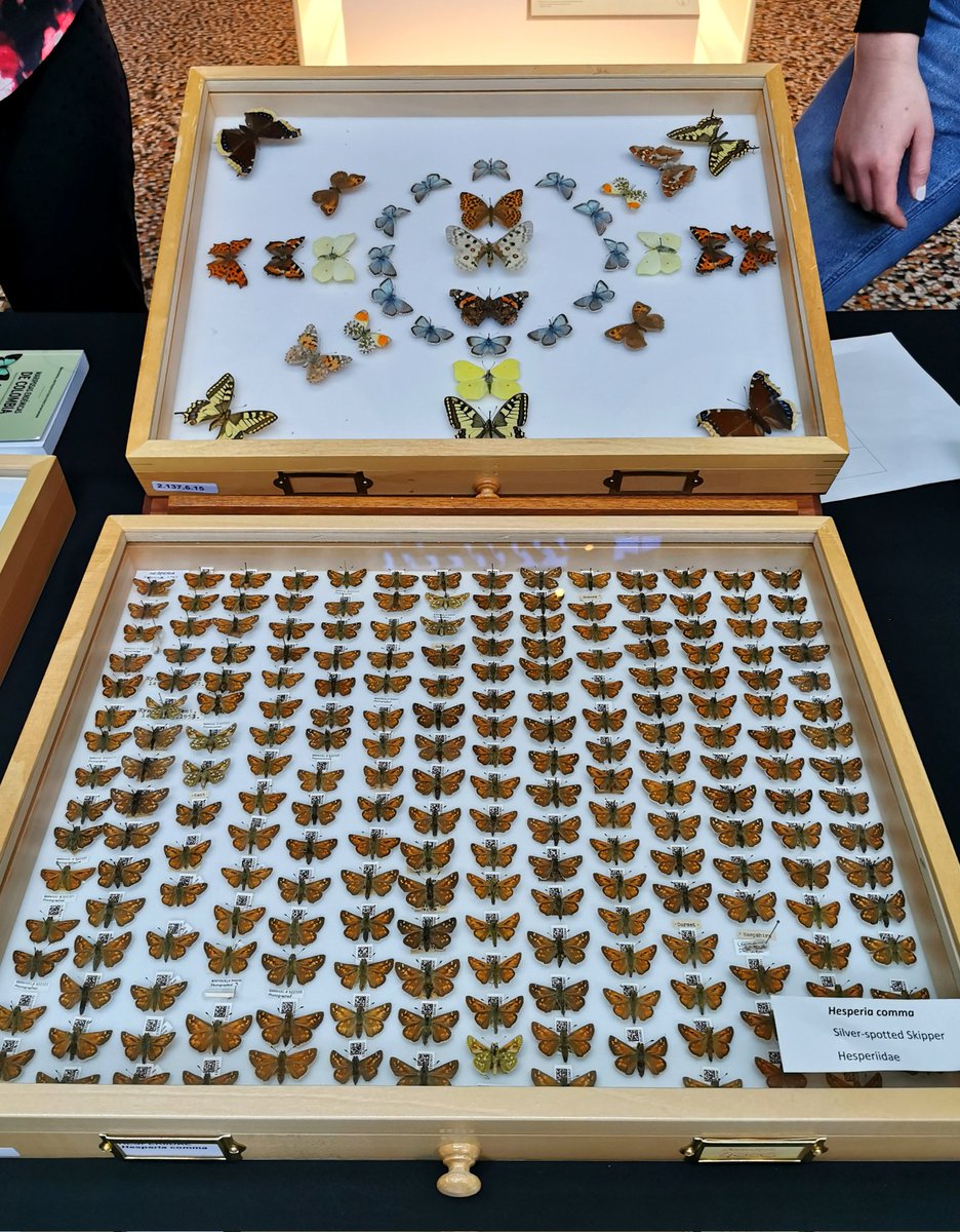 Camilla Tham tweet media