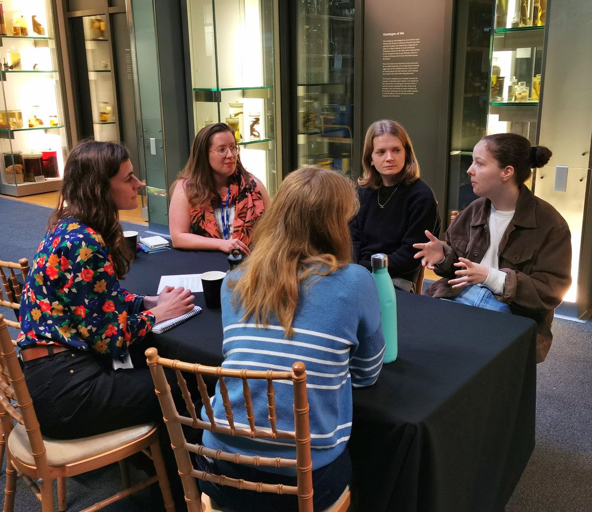 Camilla Tham tweet media