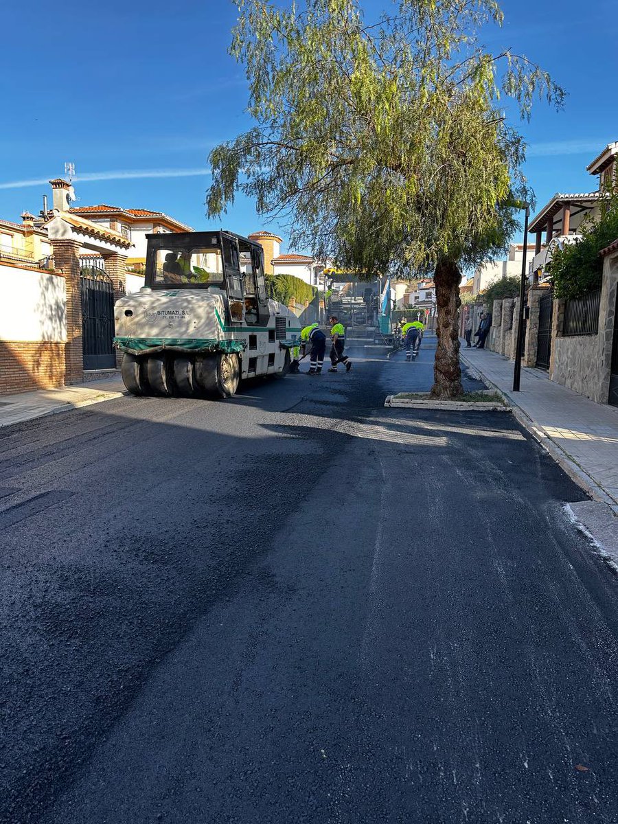 Aurora Suárez tweet media