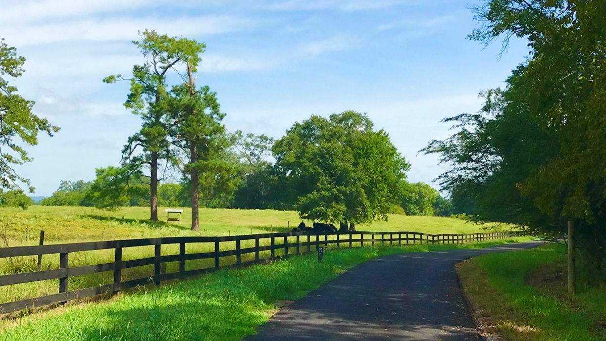 "You know it's Spring when you smell like dirt at the end of the day!" walk our trails, climb our hills, fish in our rivers. if you've lived here a hundred years - there are still places left to explore. we have a hot shower and comfy bed to greet you. bit.ly/3TIztrt