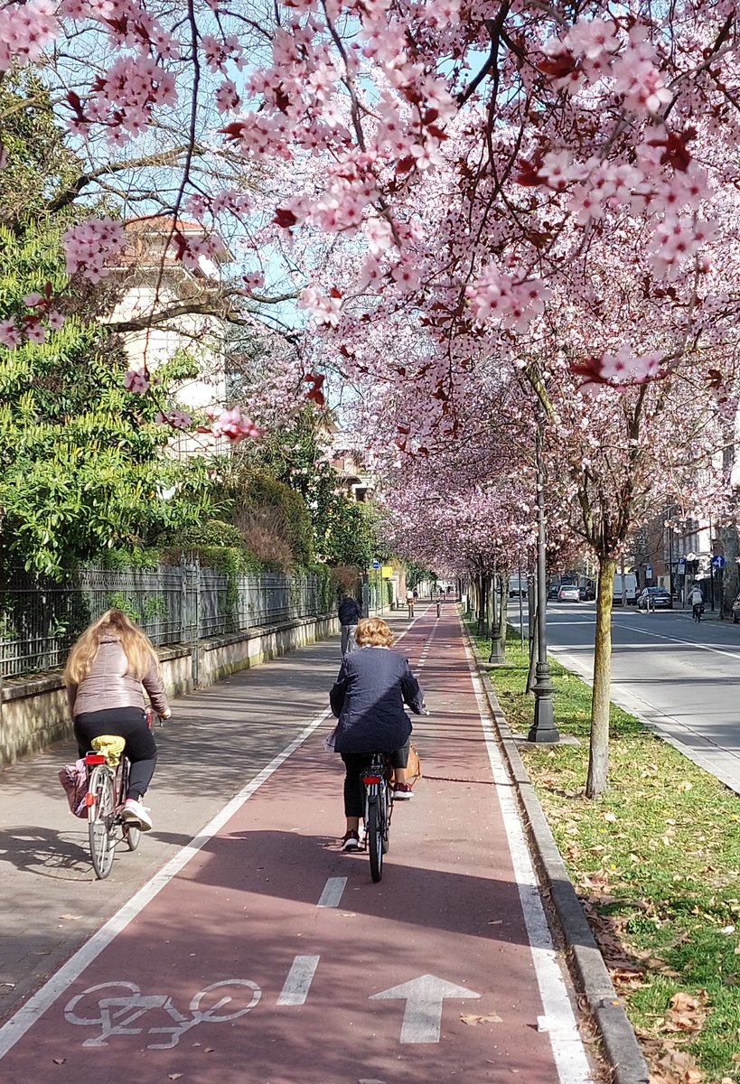 Miglior ciclabili di #Parma a #marzo

#bikelane #parmabybike #parmainbici