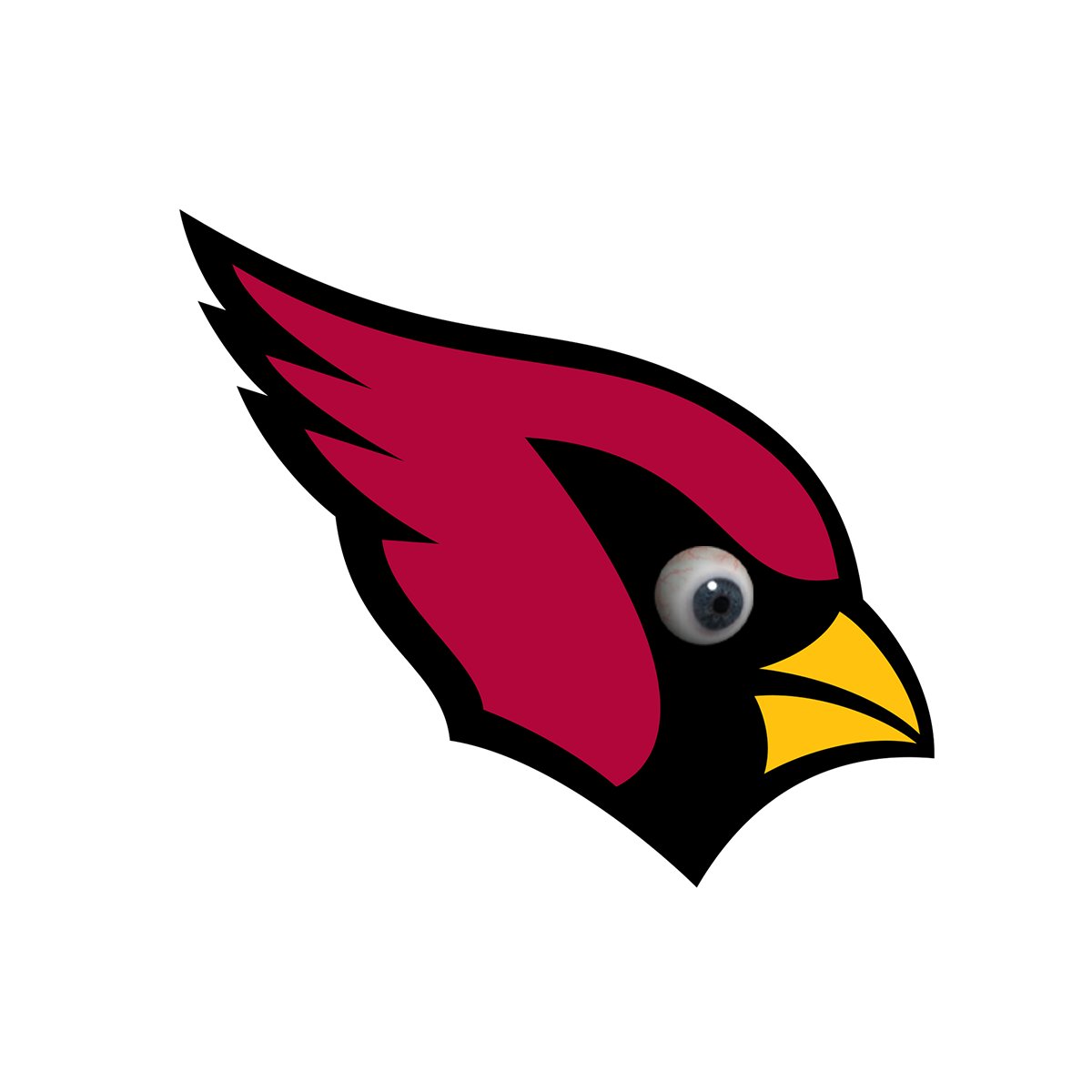 AZCardinals tweet picture