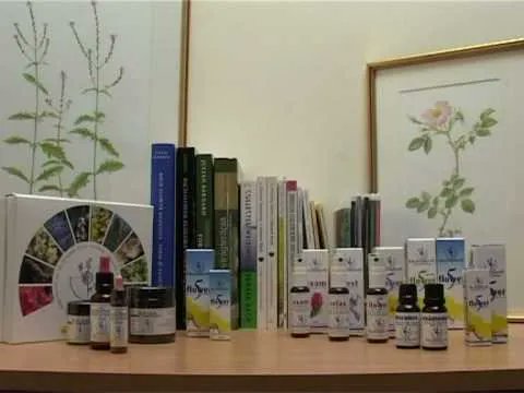 Bach’s instructions for making flower essences were precise – from the time of day to collect blossoms to the weather. Strict adherence to Bach’s instructions is more than philosophy, it is fundamental to the energy held within our essences. 
buff.ly/3mfxE8T