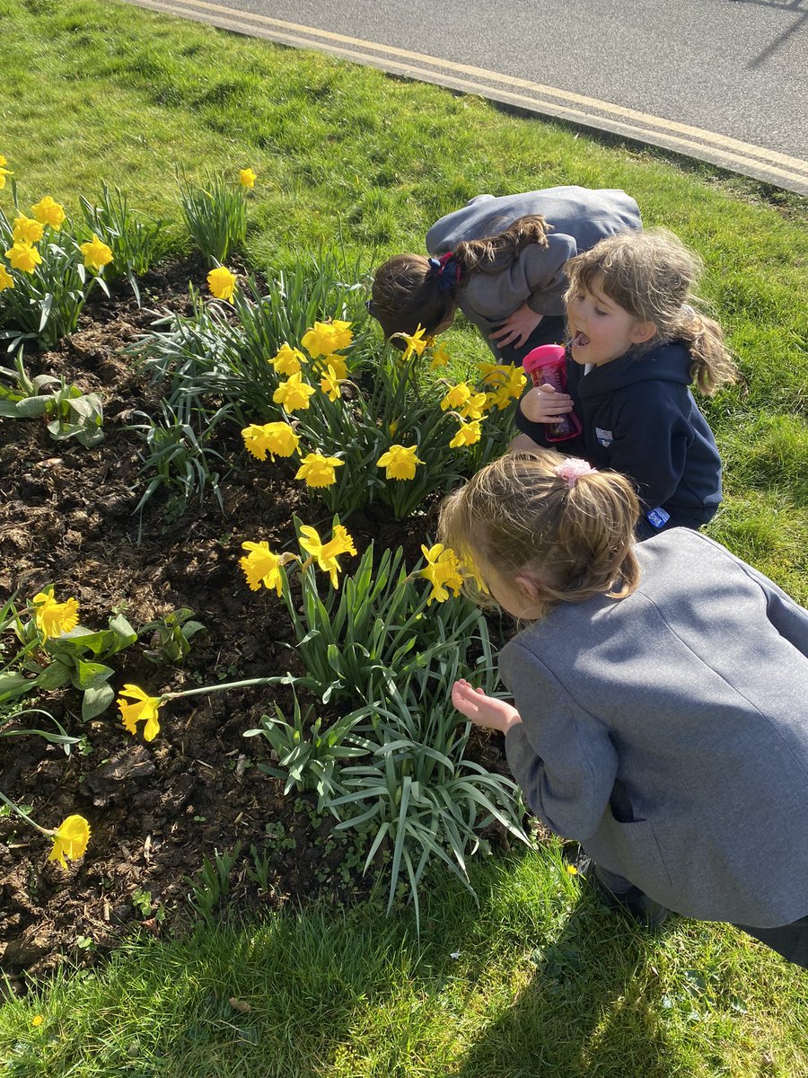 SGSYear1's tweet photo. It was lovely to get outside in the sunshine today with #SGSYear1 and search for signs of spring as part of our science topic #SGSPrep https://t.co/XwMjAT4Vmf