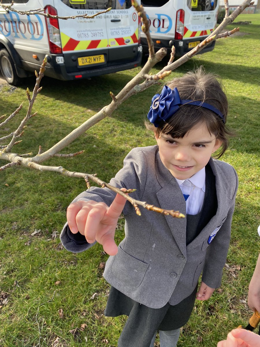 SGSYear1's tweet photo. It was lovely to get outside in the sunshine today with #SGSYear1 and search for signs of spring as part of our science topic #SGSPrep https://t.co/XwMjAT4Vmf
