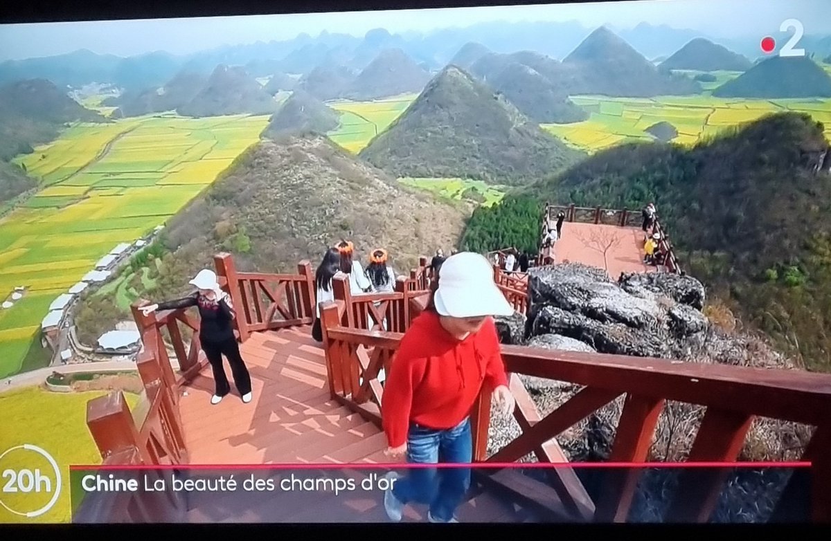 benj_thi's tweet photo. A longueur de journée en #France, les agronomes de bureau et des plateaux TV ns explique qu'il faut diversifier les cultures, augmenter la biodiversité..
Mais ce soir, @Francetele s'extasie sur les champs de colza chinois à perte de vue sur 22000ha
#faitescequejeditpascequejefilm https://t.co/m8HYwQl7vB