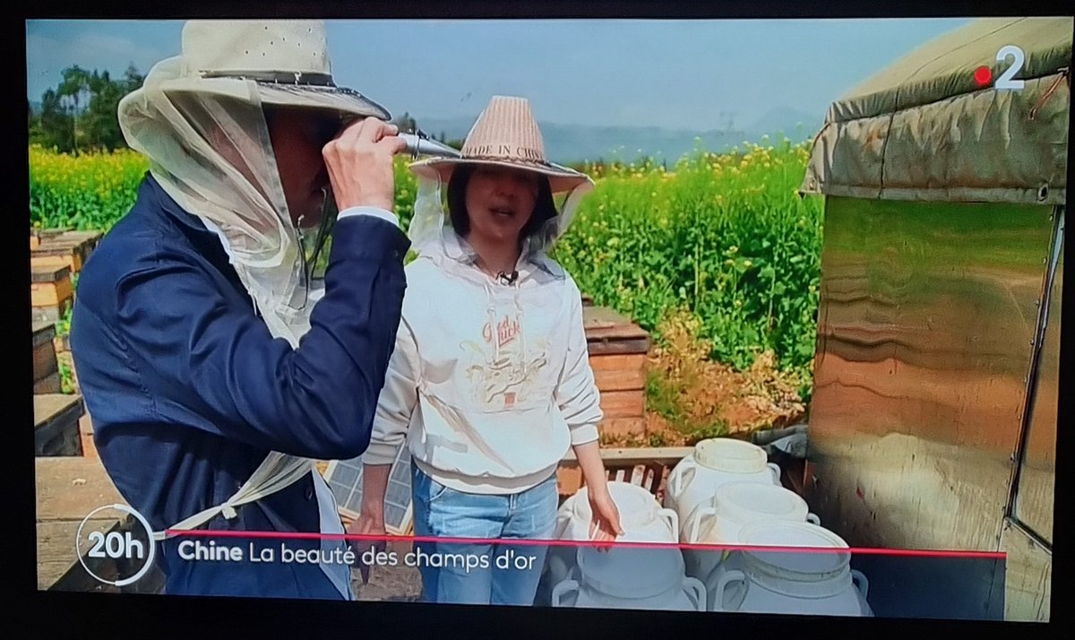 benj_thi's tweet photo. A longueur de journée en #France, les agronomes de bureau et des plateaux TV ns explique qu'il faut diversifier les cultures, augmenter la biodiversité..
Mais ce soir, @Francetele s'extasie sur les champs de colza chinois à perte de vue sur 22000ha
#faitescequejeditpascequejefilm https://t.co/m8HYwQl7vB