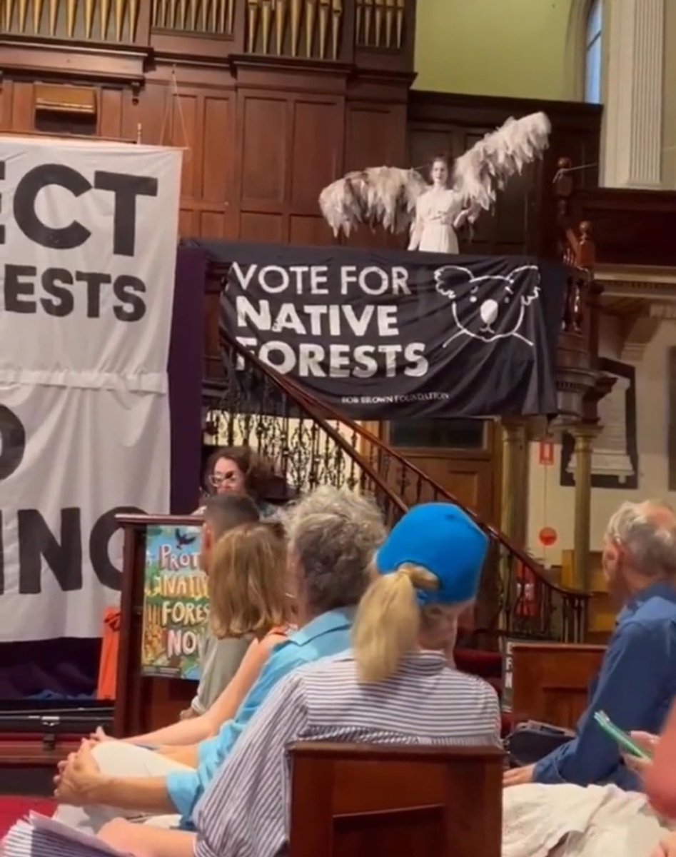 animaljusticeAU's tweet photo. are 'global biodiversity hotspots' &amp; it is essential that we protect these rich ecosystems for the plants &amp; animals who call them home.
AJP supports a complete ban on #nativeforestlogging ..."
- @AlisonWatersAJP
Lead Candidate for NSW Upper House.
@AJPNSW
Thank you @wendy_harmer https://t.co/okDCwdqBCT