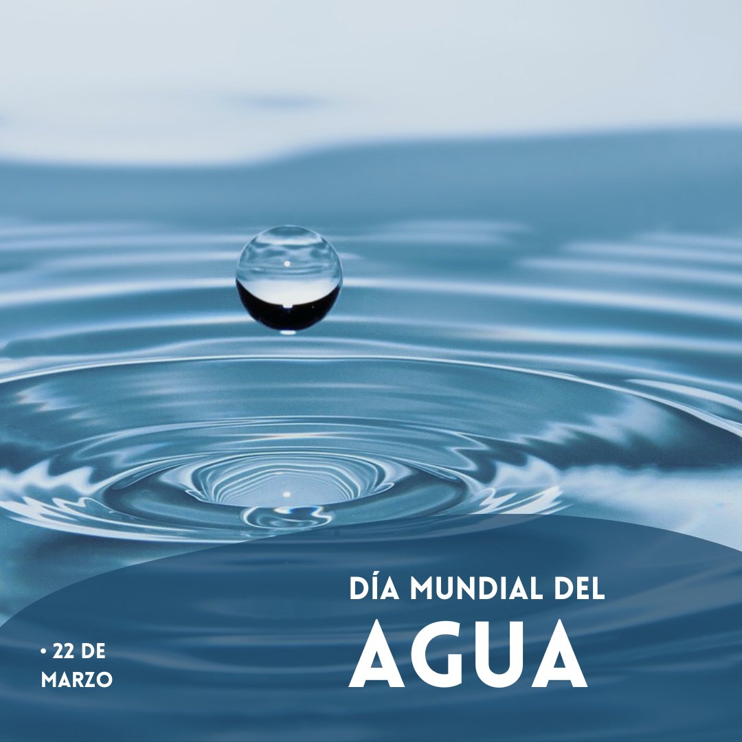 Bio_conoce's tweet photo. CUIDAR EL AGUA 💧 ES CUIDAR LA VIDA 🌎

Hoy, 22 de marzo conmemoramos el día Mundial del Agua💧 con el objetivo de generar conciencia  sobre la importancia de cuidar este elemento vital para la supervivencia de las especies vivas 🦆🐢🦀🐟🐌🌱🌻🌳🌴

#DiaMundialDelAgua #aguaesvida https://t.co/8n4QJsRRtO