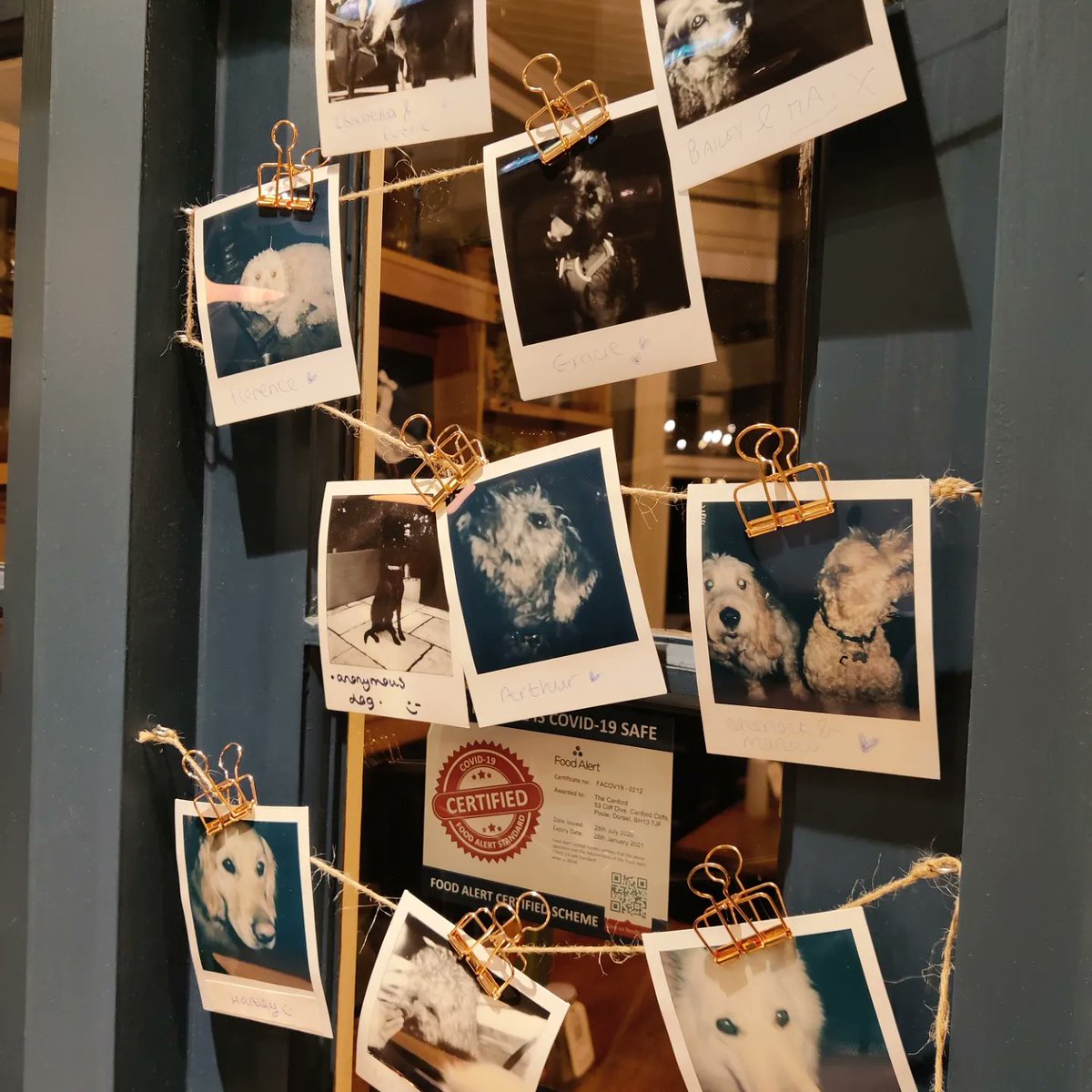 TheCanfordPoole's tweet image. It&apos;s not just chocolate eggs coming this Easter, but our special menu as well! Swipe for a sneak peek and book your table through the link in our bio 👀

#LocalPub #EasterMenu #DogFriendly #DogWall #YoungsRooms #YoungsPubs @YoungsPubs #Easter #SpringMenu