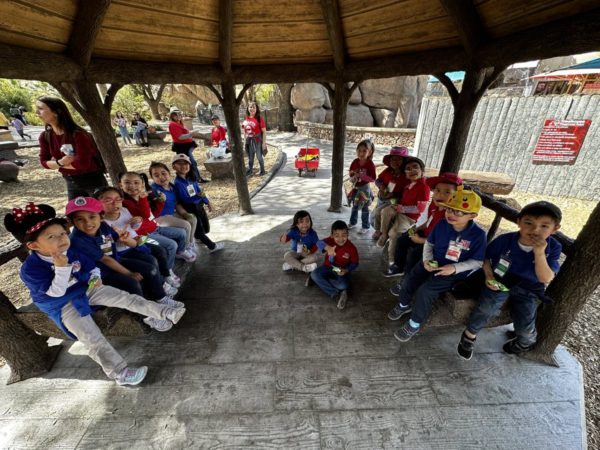 YsletaPreK's tweet image. Exploring the @elpasozoo! 🦁🐯🐻🐘 A perfect way to begin our study on animals! @YsletaPreK @RLopezPK @MSuizette @YsletaPKLibrary #realworldexperiences #prekfun