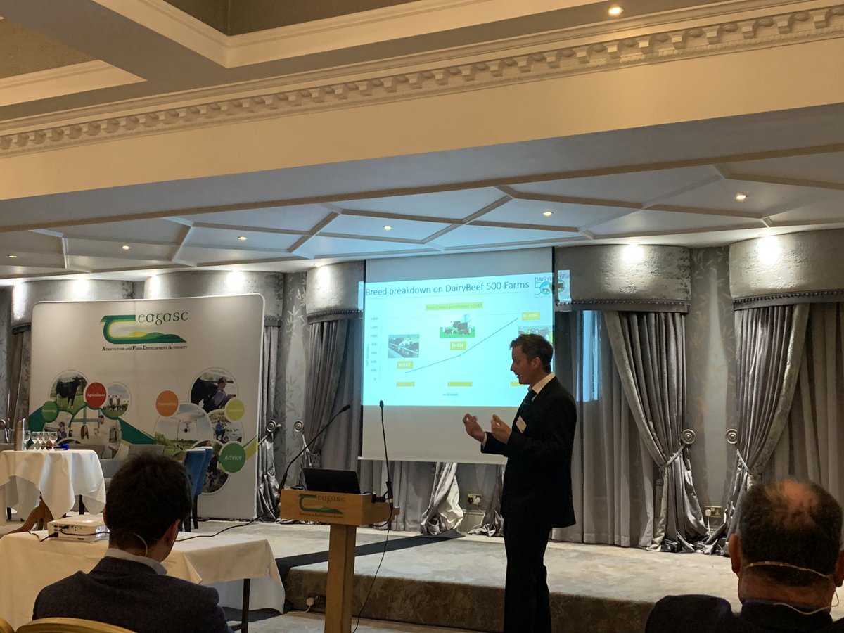 AgrilandIreland's tweet photo. @TeagascBeef’s Alan Dillon speaking at tonight’s Dairy Beef 500 Spring Conference taking place in the Ardboyne Hotel, Navan, Co. Meath https://t.co/j67fwVKPBy