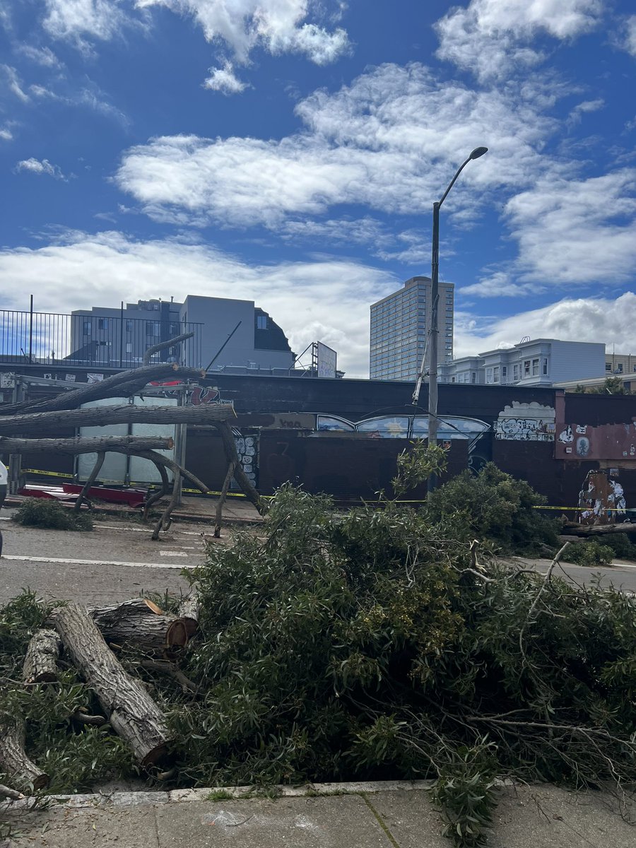 Damage left behind near Clay &amp; Polk streets from last night’s storm