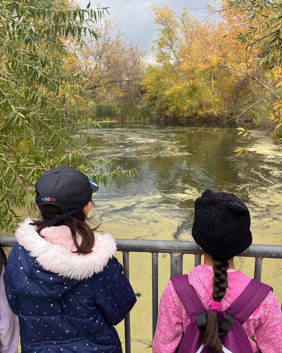 IE_Waterkeeper's tweet photo. Today is #worldwaterday ! There is water all around us in the Inland Empire and it is important we keep it safe and clean. Remember to visit local creeks and rivers within our watershed. Small thing you do at home can help save water and protect the environment. https://t.co/PdLgyNa7El