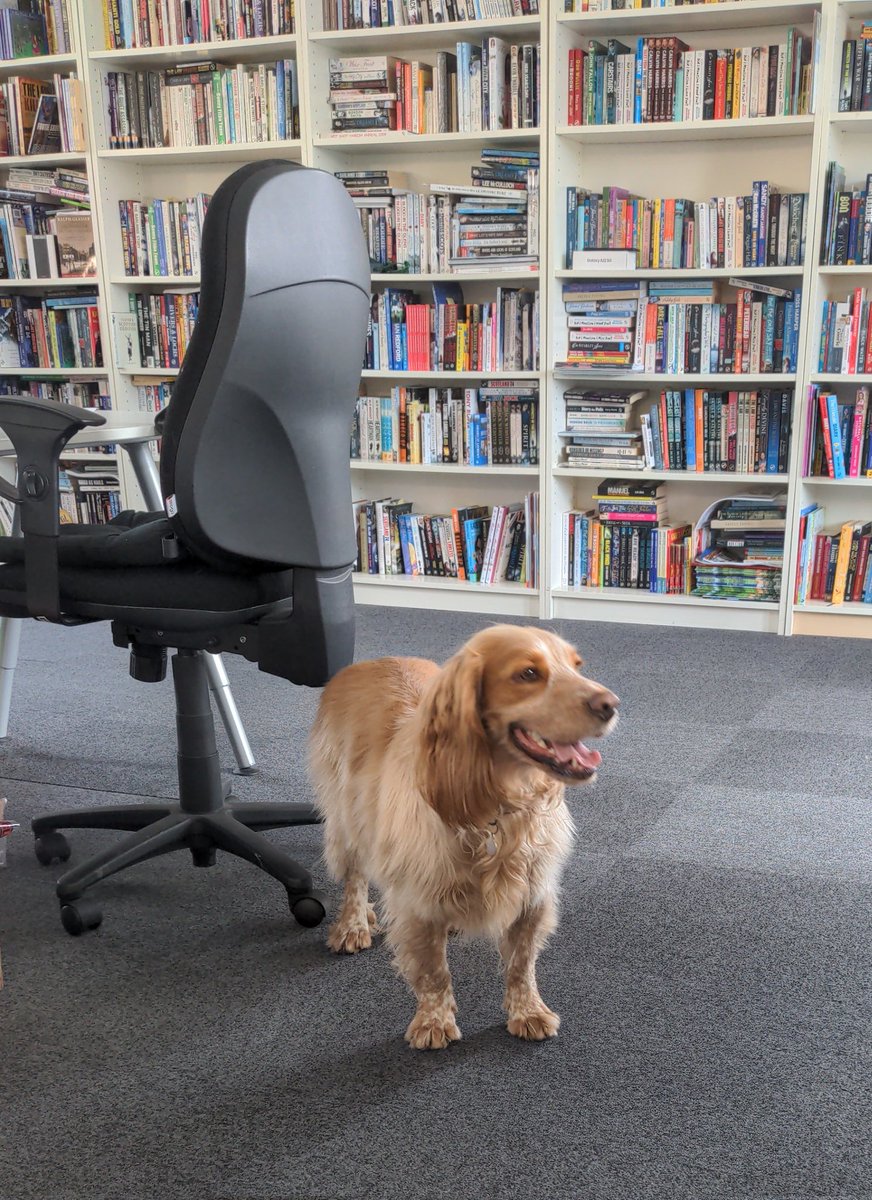 Simon Spanton tweet media