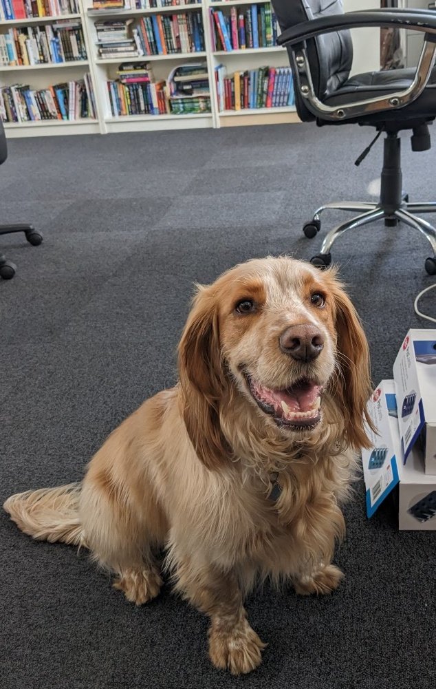 Simon Spanton tweet media