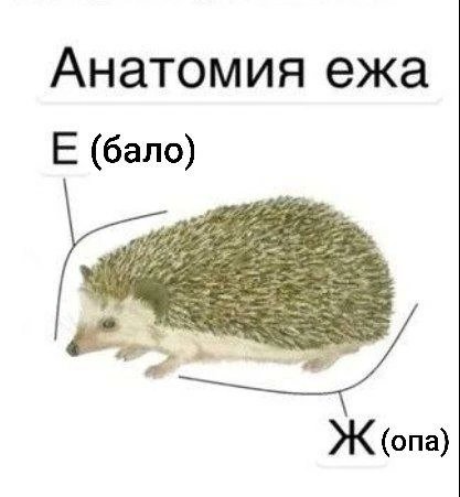 🔺🔳Вагнер🔲🔻 (@vag_ner1337) on Twitter photo 
