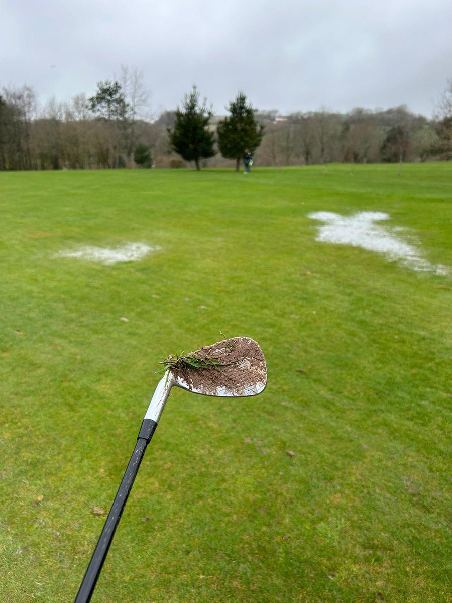 RoyalNavyGolf tweet media