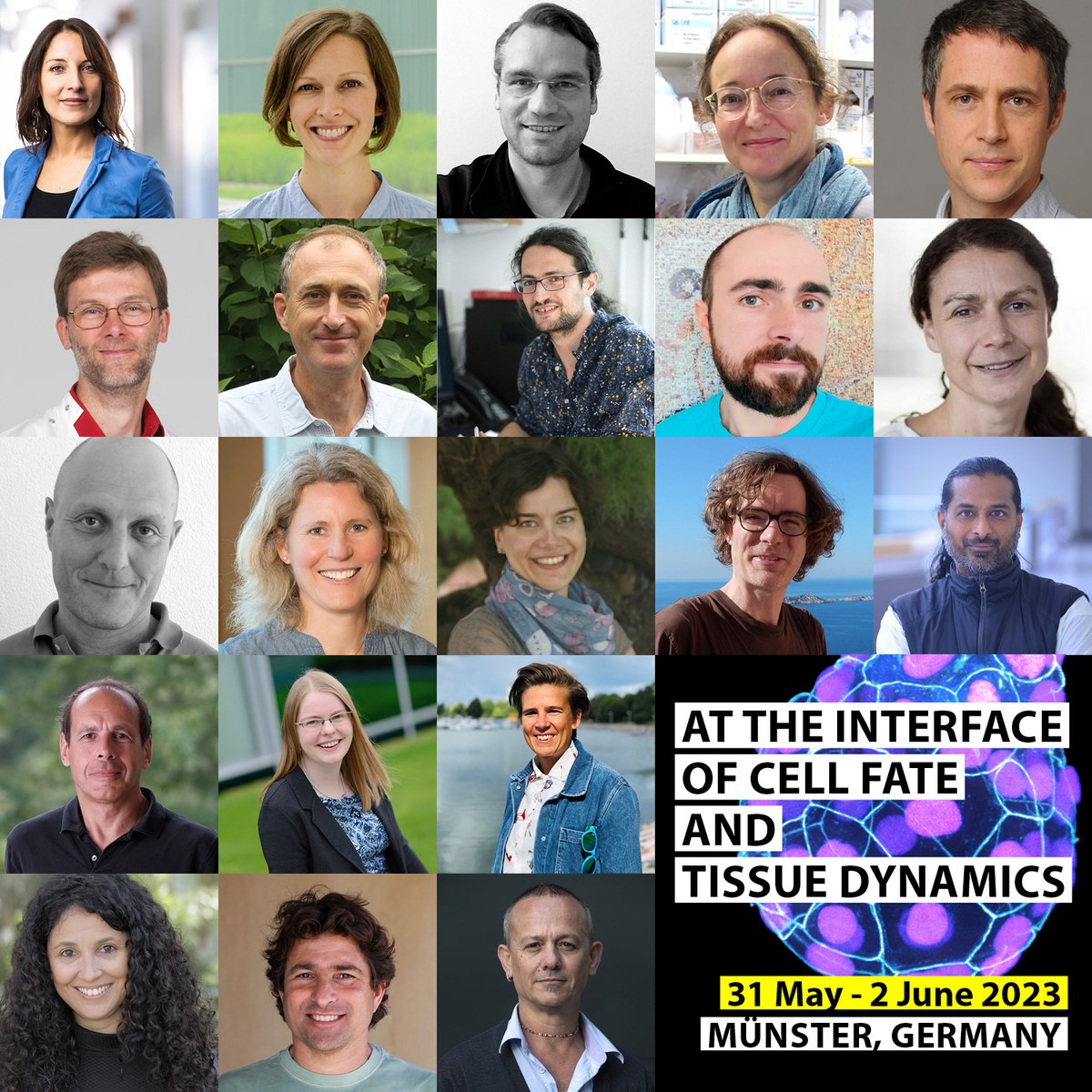 sfb1348's tweet photo. Mark your calendars: International @SFB1348 meeting “At the interface of cell fate and tissue dynamics” in Münster (in presence!) from May 31 – June 2, 2023. For the program with an exciting line-up of speakers see https://t.co/cKSPLimV5w
@WWU_Muenster https://t.co/br28pGcQ6f